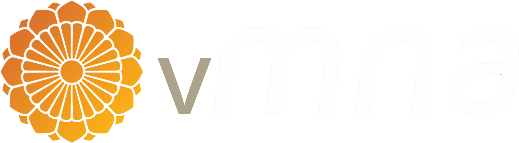 FlyMNA Virtual